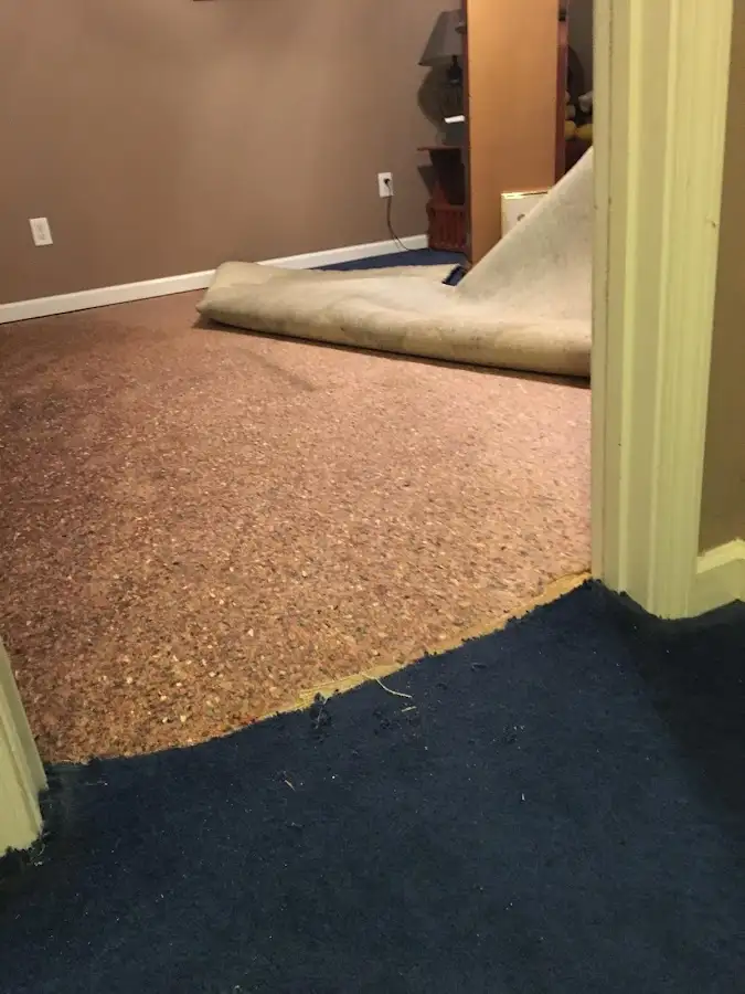 Carpet pad removal revealing water damage during Drying & Dehumidification in Lenexa